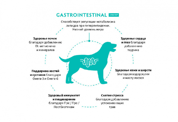 Grandorf Dog Vet Gastrointestinal Low Fat купить в ZooKorm24.ru