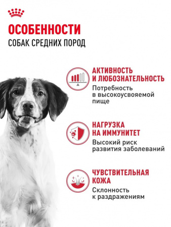 Royal Canin Medium Adult сухой корм для взрослых собак средних пород (11-25 кг) с 12 месяцев до 7 лет