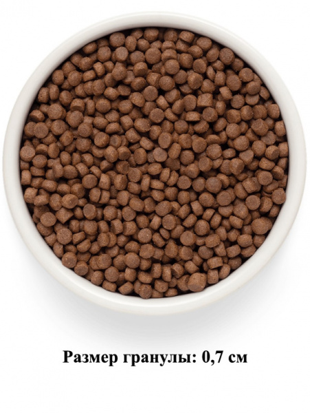 Premier Cat Adult Lamb&Turkey купить в ZooKorm24.ru
