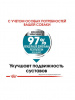 Royal Canin Maxi Joint Care купить в ZooKorm24.ru