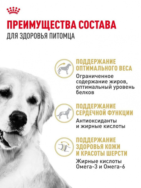 Royal Canin Golden Retriever Adult купить в ZooKorm24.ru
