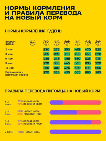 Wellement Puppy Medium&Large сухой корм для щенков средних и крупных пород, индейка