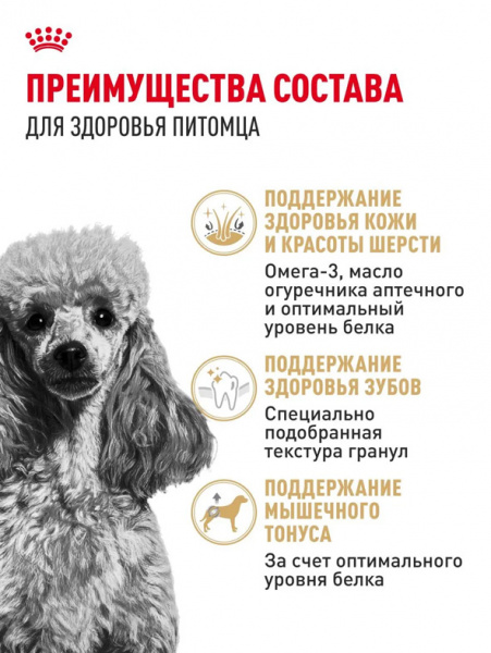 Royal Canin Poodle Adult купить в ZooKorm24.ru
