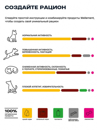 Wellement Puppy Small сухой корм для щенков маленьких пород, утка