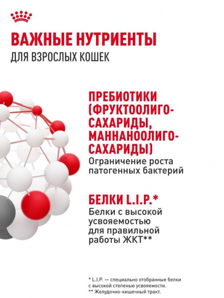 Royal Canin Digestive Care купить в ZooKorm24.ru

