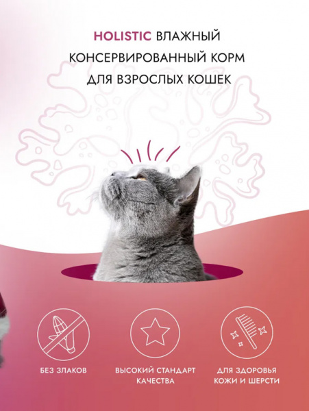 Best Dinner Cat Holistic паучи для кошек, филе в желе, курица с тунцом и креветками