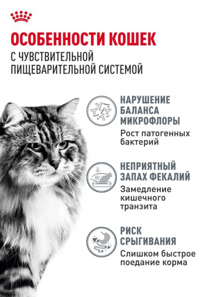 Royal Canin Digestive Care купить в ZooKorm24.ru
