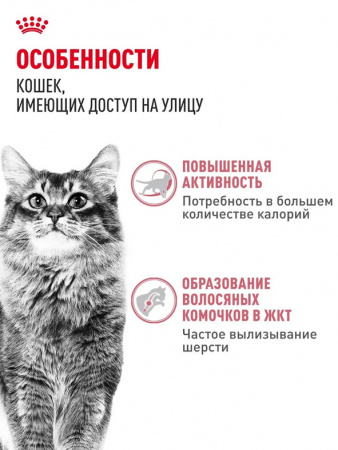 Royal Canin Fit 32
