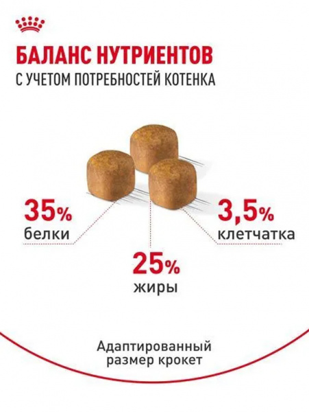 Royal Canin Sphynx Kitten купить в ZooKorm24.ru
