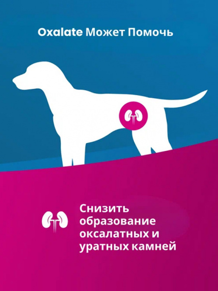 Farmina Vet Life Canine Oxalate купить в ZooKorm24.ru