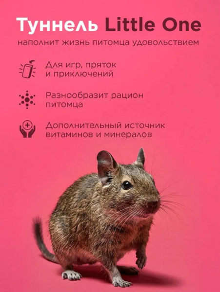 Little One Лакомство Туннель большой Вкусная лазейка для крупных грызунов, 200гр