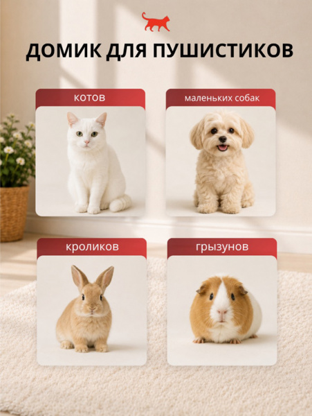 Домик картонный для кошки 35*35*35 см