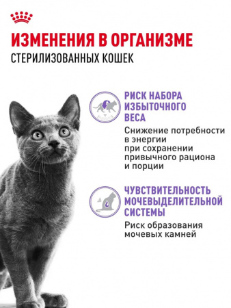 Royal Canin Sterilised влажный корм для взрослых стерилизованных кошек, кусочки в желе, паучи