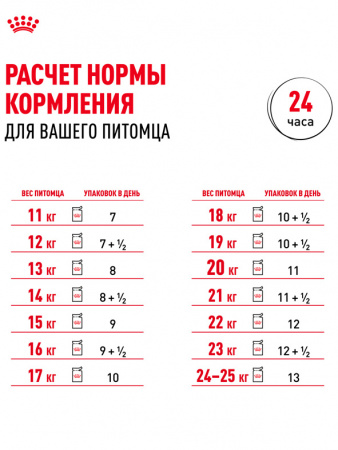 Royal Canin Medium Adult, собаки, кусочки в соусе