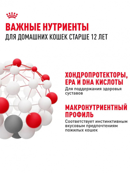 Royal Canin Ageing 12+ купить в ZooKorm24.ru
