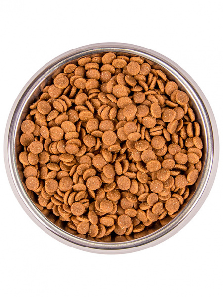 Monge Cat BWild Kitten Low Grain купить в ZooKorm24.ru
