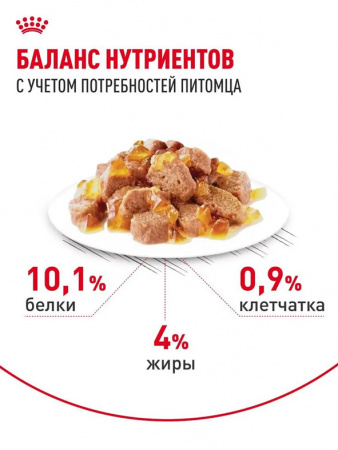 Royal Canin Hair&Skin Care, кусочки в желе, паучи