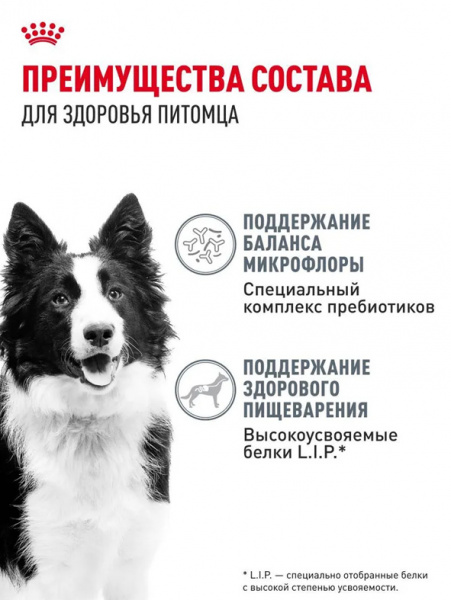 Royal Canin Medium Digestive Care купить в ZooKorm24.ru

