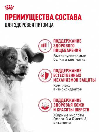 Royal Canin Medium Adult сухой корм для взрослых собак средних пород (11-25 кг) с 12 месяцев до 7 лет
