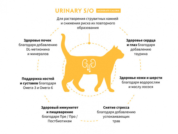 Grandorf Cat Vet Urinary Moderate Calorie купить в ZooKorm24.ru