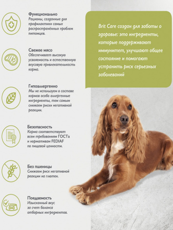 Brit Care Dog Adult M для взрослых собак средних пород, здоровье кожи и шерсти, лосось и индейка