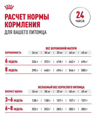 Royal Canin Maxi Starter