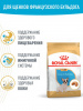Royal Canin French Bulldog Puppy