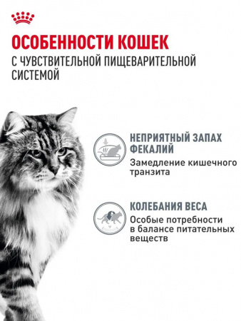 Royal Canin Digestive Care влажный корм для взрослых кошек с чувствительным пищеварением, кусочки в соусе, в паучах