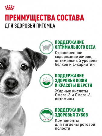 Royal Canin Mini Adult сухой корм для взрослых собак мелких пород (4-10 кг) старше 10 месяцев