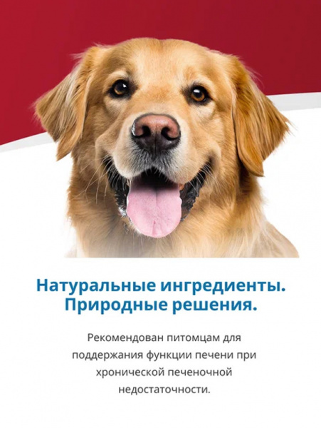 Farmina Vet Life Canine Hepatic купить в ZooKorm24.ru