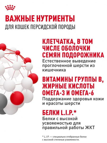 Royal Canin Persian Adult купить в ZooKorm24.ru

