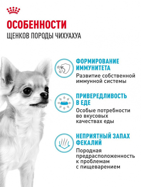 Royal Canin Chihuahua Puppy купить в ZooKorm24.ru
