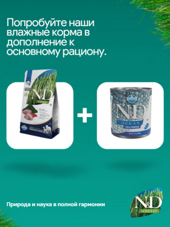 Farmina N&D Spirulina Dog Adult Medium&Maxi сухой корм для взрослых собак средних и крупных пород, ягненок, спирулина и ягоды годжи