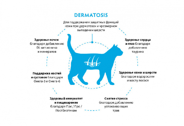 Grandorf Cat Vet Dermatosis купить в ZooKorm24.ru