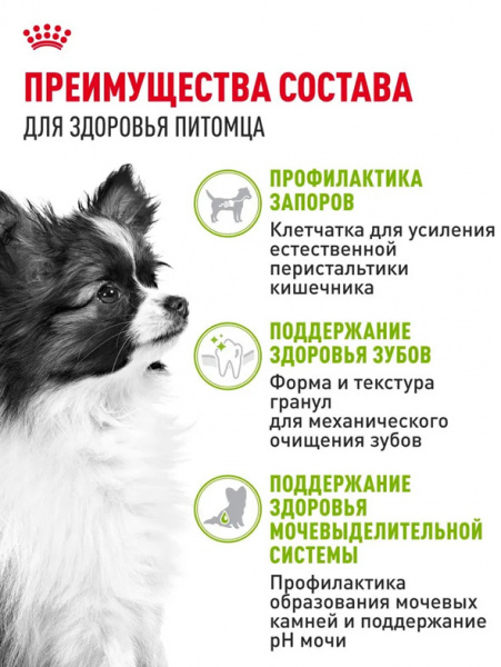 Royal Canin X-Small Adult купить в ZooKorm24.ru
