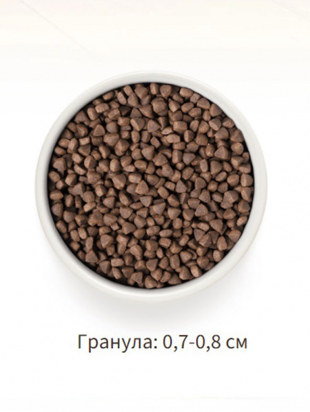 Grandorf Cat Adult Skin&Coat Care купить в ZooKorm24.ru

