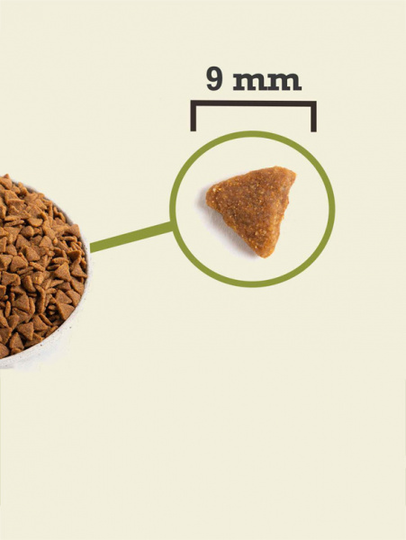 Acana Cat Indoor Entree сухой корм для взрослых кошек, живущих в помещении, низкозерновой