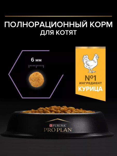 Pro Plan Kitten Healthy Start купить в ZooKorm24.ru
