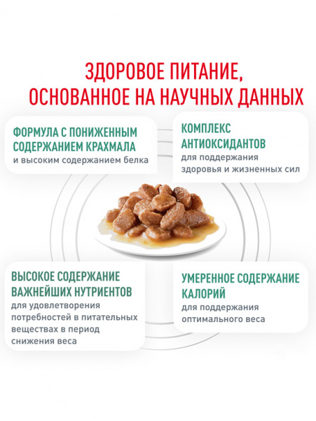 Royal Canin Diabetic купить в ZooKorm24.ru
