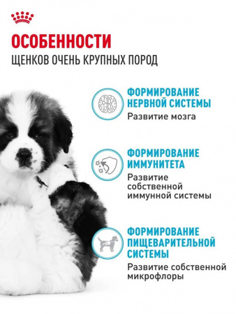 Royal Canin Giant Puppy сухой корм для щенков гигантских пород с 2 до 8 месяцев