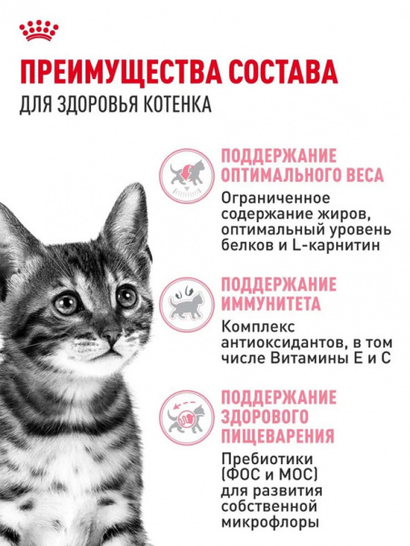 Royal Canin Kitten Sterilised купить в ZooKorm24.ru
