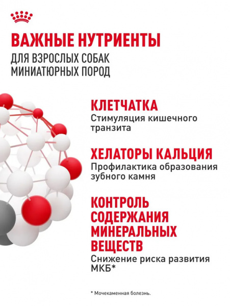 Royal Canin X-Small Adult купить в ZooKorm24.ru
