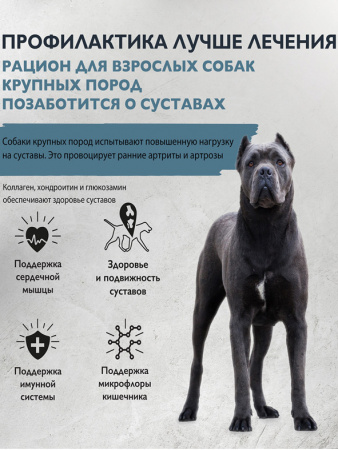 Brit Care Dog Adult L для взрослых собак крупных пород, для поддержки суставов, индейка с уткой