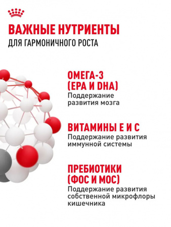 Royal Canin Medium Puppy сухой корм для щенков средних пород (11-25 кг) до 12 месяцев