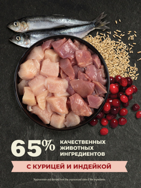 Acana Cat Indoor Entree сухой корм для взрослых кошек, живущих в помещении, низкозерновой