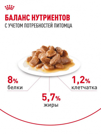 Royal Canin Mini Ageing 12+ влажный корм для собак мелких пород старше 12 лет, кусочки в соусе, паучи