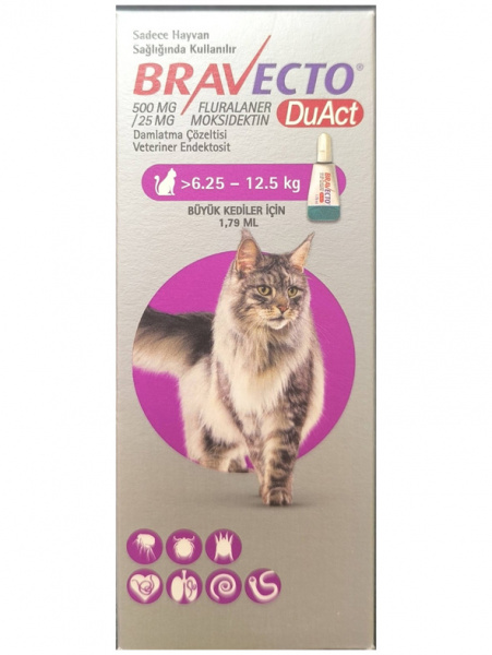Бравекто DuAct капли от блох, клещей, гельминтов для кошек весом 6,25-12,5 кг, 500 мг, 1 пипетка*1,79 мл