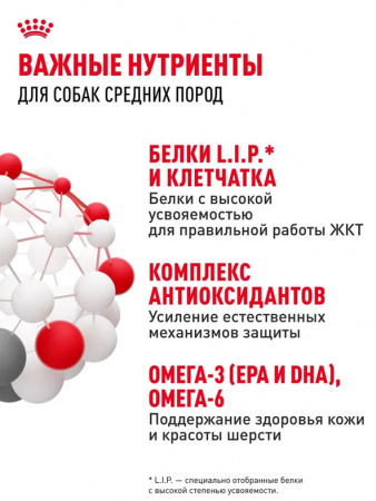 Royal Canin Medium Adult сухой корм для взрослых собак средних пород (11-25 кг) с 12 месяцев до 7 лет