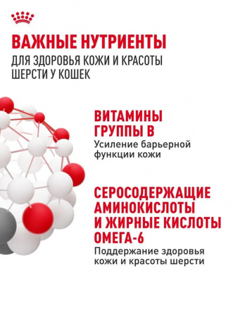 Royal Canin Hair&Skin Care, кусочки в желе, паучи