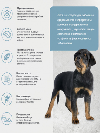 Brit Care Dog Puppy&Junior L  для щенков крупных пород, индейка и ягненок